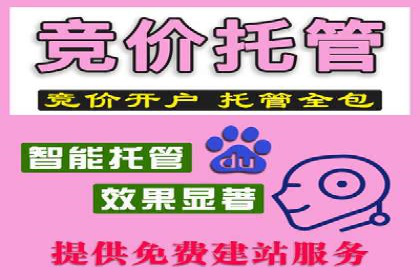 充值高返点背后的策略与技巧：案例分析